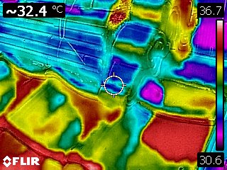 FLIR0221.jpg