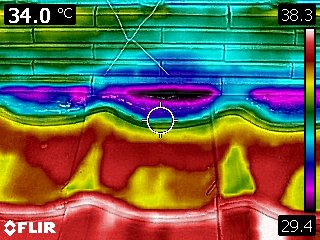 FLIR0229.jpg
