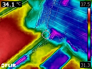 FLIR0241.jpg